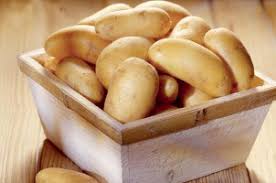 اختصاص  چهار هزار هکتار از اراضی جنوب کرمان به کشت سیب زمینی